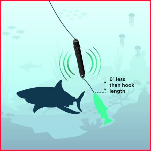 Inline Sharkguard